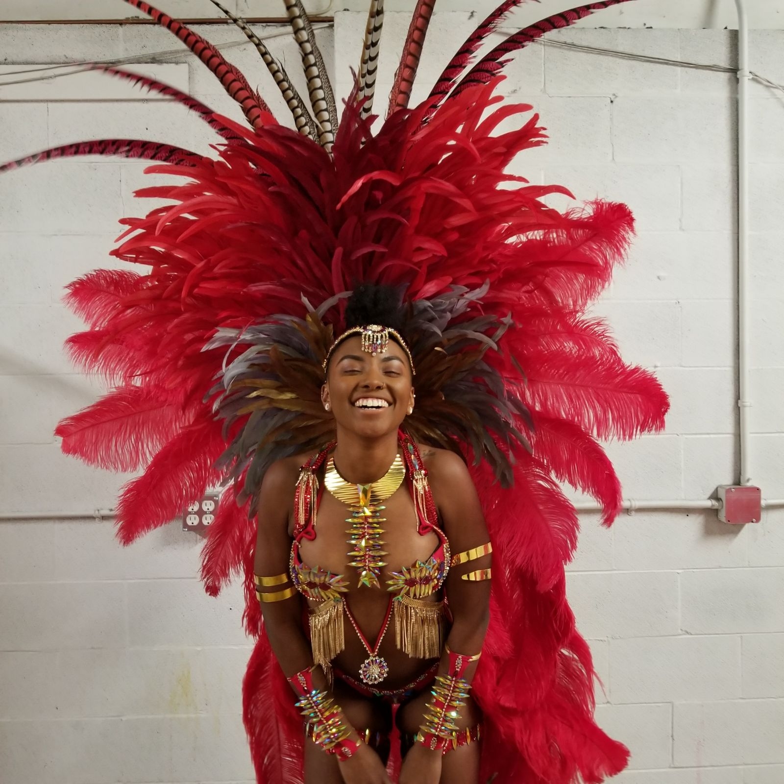 Red Queen Caribana Carnival Costume